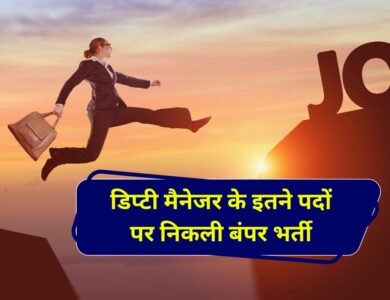 NHAI Deputy Manager Vacancy 2024: एनएचएआई डिप्टी मैनेजर के इतने पदों पर निकली बंपर भर्ती मिलेगी दमदार सैलरी
