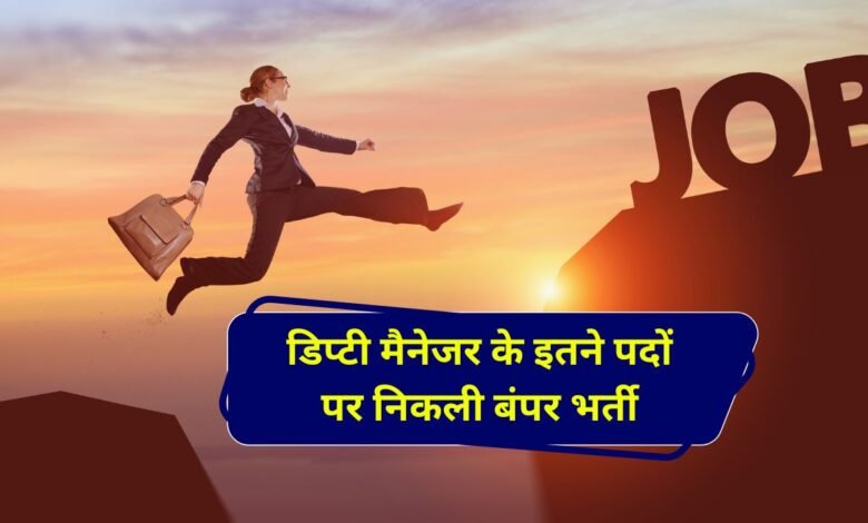 NHAI Deputy Manager Vacancy 2024: एनएचएआई डिप्टी मैनेजर के इतने पदों पर निकली बंपर भर्ती मिलेगी दमदार सैलरी