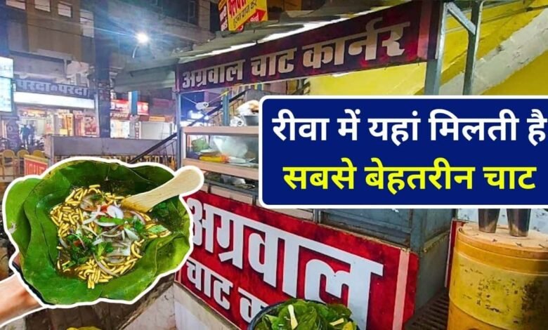 रीवा में यहां मिलती है सबसे बेहतरीन चाट, एक बार चखने के बाद दोबारा नहीं भूल पाएंगे स्वाद