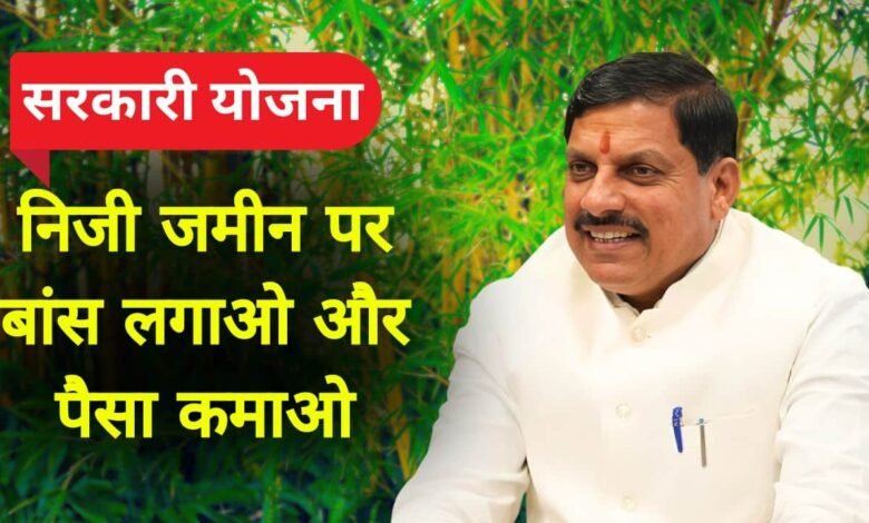 MP Sarkari Yojana 2024: सरकार की इस योजना के तहत निजी जमीन पर बांस लगाओ और पैसा कमाओ
