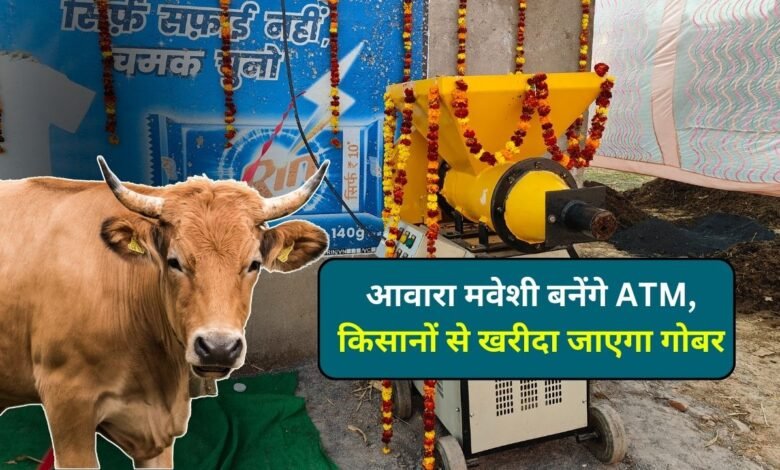 Mauganj News: मऊगंज जिले में आवारा मवेशी बनेंगे ATM, किसानों से खरीदा जाएगा गोबर