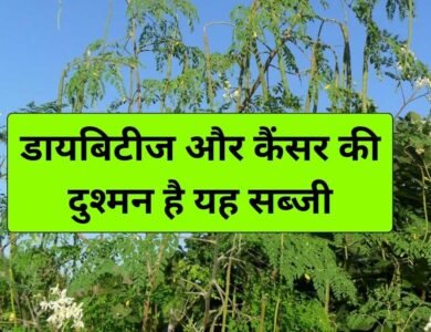 Munga Khane Ke Fayde: मुनगा खाने के फायदे जानकर रह जाएंगे हैरान, डायबिटीज मरीजों के लिए है रामबाण