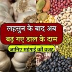 MP Mandi Bhav: लहसुन के बाद अब दाल के भाव मे आया उछाल, दाम बढने के पीछे छुपा है बड़ा कारण