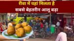 रीवा में यहां मिलता है सबसे बेहतरीन आलू बड़ा, स्वाद ऐसा कि दोबारा भूल नहीं पाएंगे आप