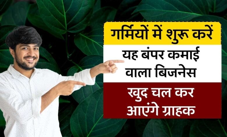 Summer Business Idea: गर्मियों के मौसम में शुरू करें बंपर कमाई वाला यह बिजनेस, कभी नहीं होगी ग्राहकों की कमी