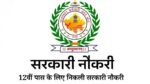 RSMSSB Recruitment 2024: स्टेनोग्राफर और पर्सनल असिस्टेंट पदों की अधिसूचना जारी, 12वीं पास भी कर सकते हैं आवेदन