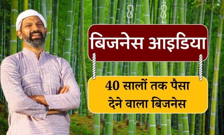 Village Business Ideas: गांव की खाली पड़ी जमीन पर लगाएं बांस, घर बैठे करें लाखो को कमाई