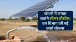 MP News: टाइगर रिजर्व क्षेत्र के जंगलों में लगाए जाएंगे सोलर बोरवेल, वन विभाग ने तैयार किया नई कार्य योजना