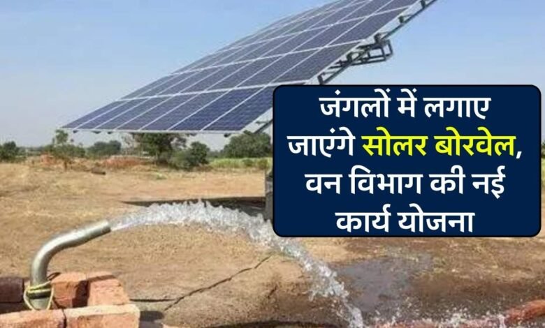 MP News: टाइगर रिजर्व क्षेत्र के जंगलों में लगाए जाएंगे सोलर बोरवेल, वन विभाग ने तैयार किया नई कार्य योजना