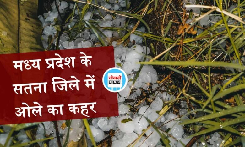 MP Weather News: मध्य प्रदेश के सतना जिले में ओले का कहर, आम महुआ सरसों गेहूं की फसल चौपट