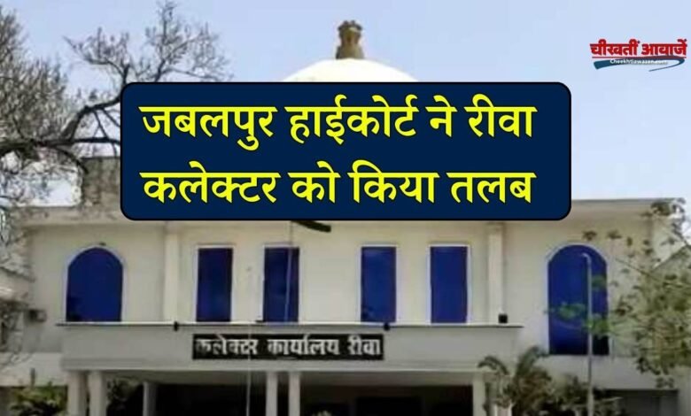 Rewa News: बर्खास्त होने के बावजूद भी वेतन उठा रहे भ्रष्ट लेखपाल, जबलपुर हाईकोर्ट ने रीवा कलेक्टर को किया तलब