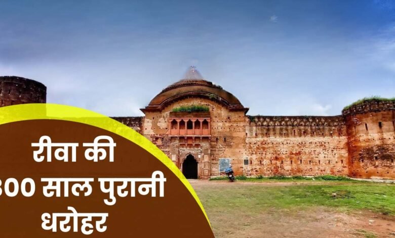Rewa News: रीवा की 800 साल पुरानी धरोहर बनी वीरान, हेरिटेज होटल बनाने का था प्रस्ताव