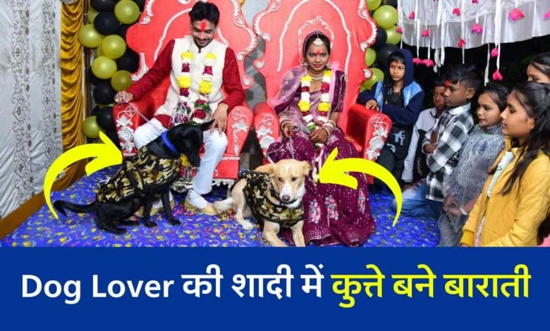 Dog Lover की शादी में कुत्ते बने बाराती, फूल माला के साथ कुत्तों का हुआ स्वागत, देखिए वीडियो