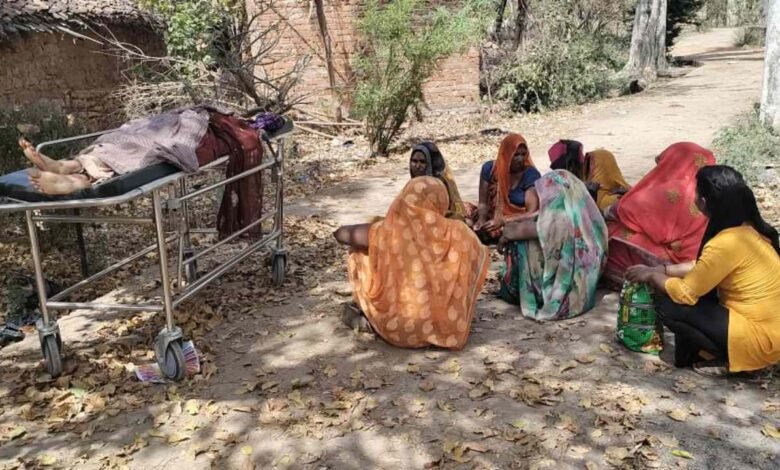 Mauganj News: गेहूं की कटाई करने खेत गई महिलाओं पर मधुमुखियों ने किया हमला, एक महिला की नदी में गिरने से मौत