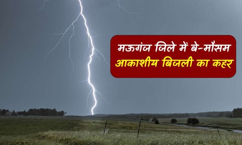 Mauganj News: मऊगंज जिले में बे मौसम गिरी आकाशीय बिजली, बकरी चराने गए वृद्धि की मौत