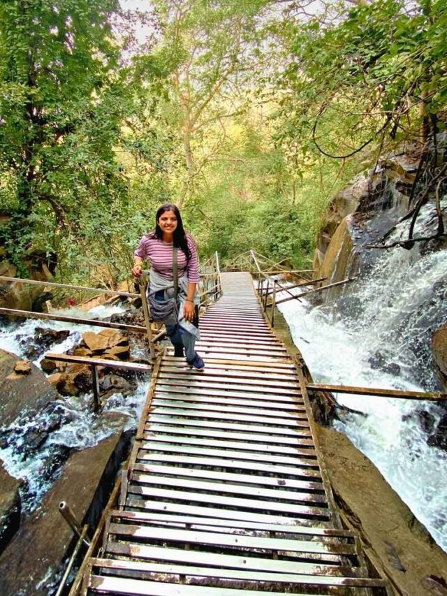 ये है Rewa का सबसे सुंदर Waterfall, विदेश में मिलते हैं ऐसे नजा