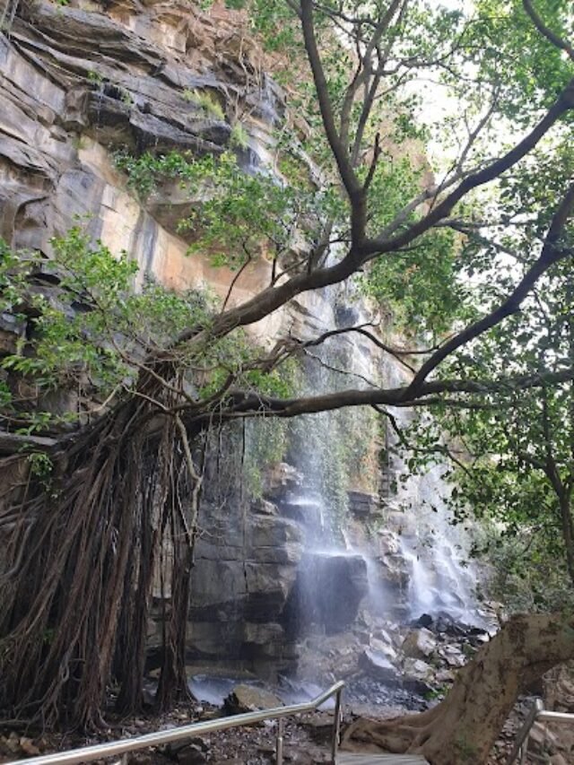 Rewa Waterfalls: जल प्रपातों का शहर रीवा जहाँ है सबसे गहरा वॉटरफॉल