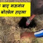 Rewa News: रीवा बोरवेल हादसा के बाद भी नहीं जगह प्रशासन, मऊगंज जिले में हुआ एक और हादसा