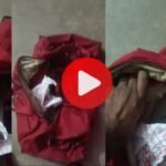 Rewa News: यात्रीगण हो जाएं सावधान! बसों में सक्रिय हुए जेब कतरे, क्लीनर बनाकर उड़ाए लाखों के गहने Rewa News: यात्रीगण हो जाएं सावधान! बसों में सक्रिय हुए जेब कतरे, कंडक्टर बनाकर उड़ाए लाखों के गहने