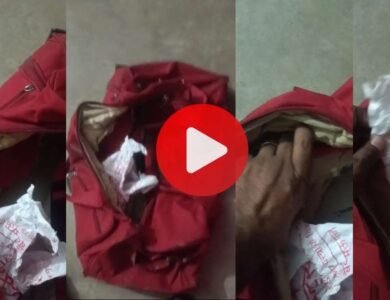 Rewa News: यात्रीगण हो जाएं सावधान! बसों में सक्रिय हुए जेब कतरे, क्लीनर बनाकर उड़ाए लाखों के गहने Rewa News: यात्रीगण हो जाएं सावधान! बसों में सक्रिय हुए जेब कतरे, कंडक्टर बनाकर उड़ाए लाखों के गहने