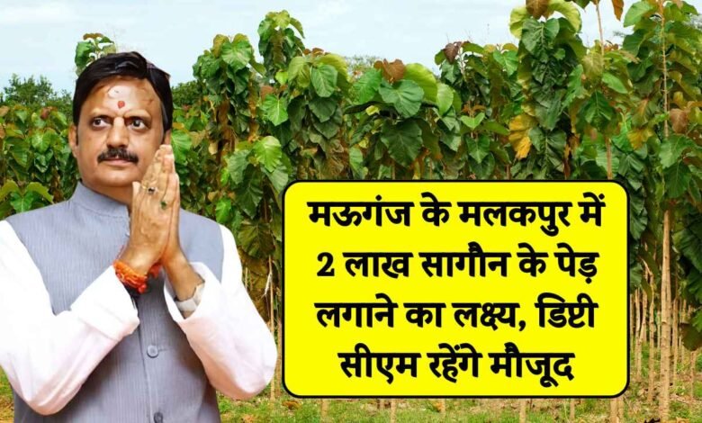 Mauganj News: मऊगंज जिले के मलकपुर में लगाए जाएंगे 2 लाख पेड़, डिप्टी सीएम करेंगे शुभारंभ