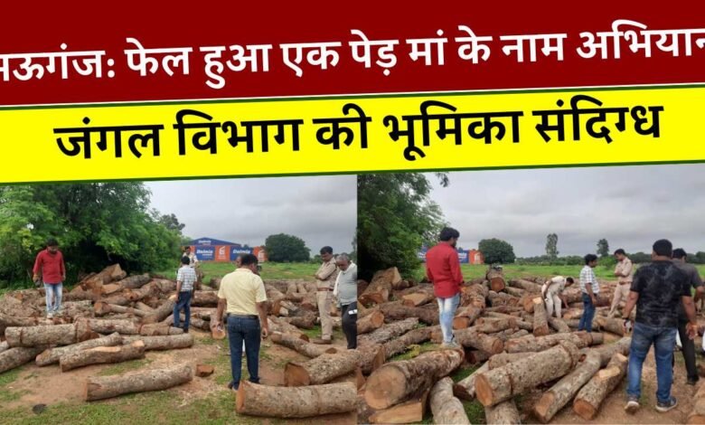 Mauganj News: मऊगंज जिले में फेल हुआ एक पेड़ मां के नाम अभियान, अंधाधुंध पेड़ों की कटाई का मामला जंगल विभाग की भूमिका संदिग्ध