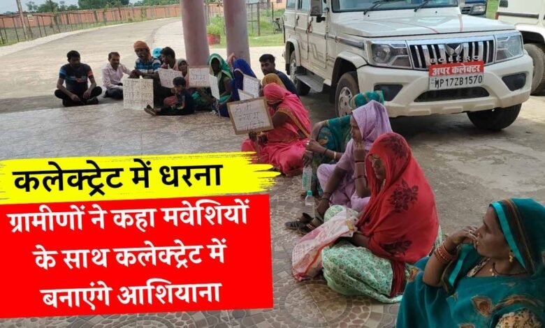 Mauganj News: हरिजन बस्ती के लोगों ने कलेक्ट्रेट में दिया धरना, कहा मवेशियों के साथ कलेक्ट्रेट में बनाएंगे आशियाना