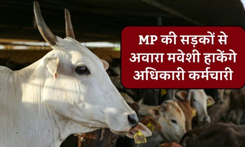 MP News: मध्य प्रदेश की सड़कों से अवारा मवेशी हाकेंगे अधिकारी कर्मचारी, जारी हुआ आदेश