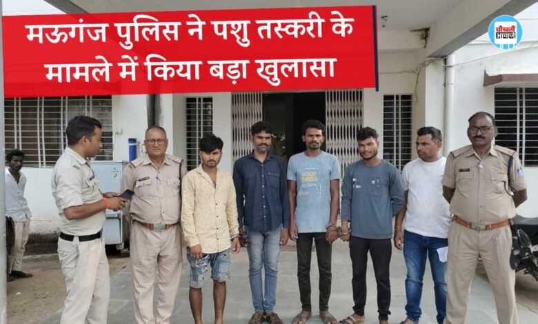 Mauganj News: मऊगंज पुलिस ने किया खुलासा कानपुर के बूचड़खाने ले जाई जा रही थी भैंसे, चार गिरफ्तार