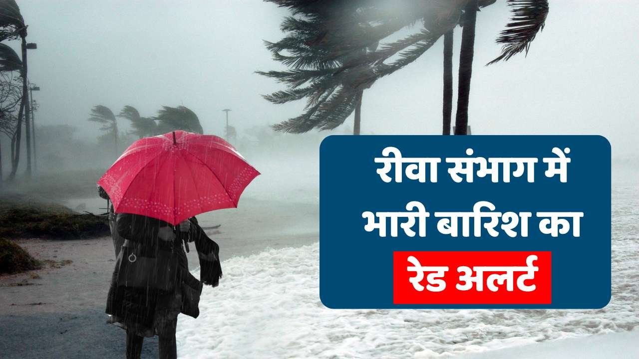 Rewa Weather: रीवा मऊगंज सहित संभाग के इन जिलों में भारी बारिश का रेड अलर्ट Rewa Weather: रीवा मऊगंज सहित संभाग के इन जिलों में भारी बारिश का रेड अलर्ट