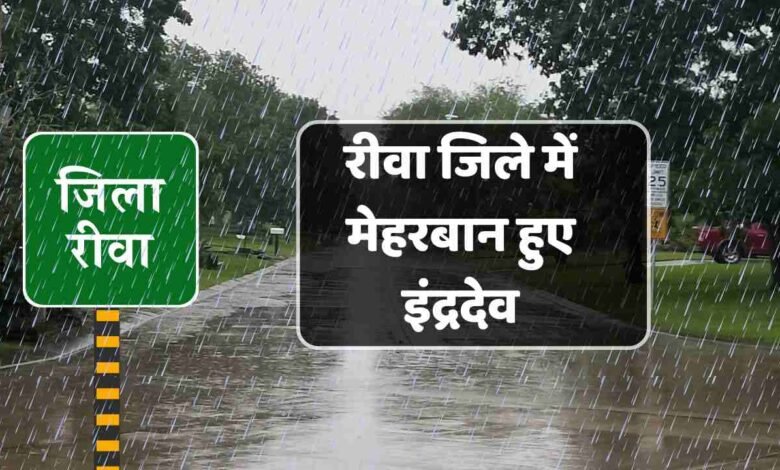 Rewa Weather: रीवा जिले में मेहरबान हुए इंद्रदेव, भारी बरसात से खोले गए चार बांधों के गेट