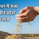 Top 3 Soybean Producing States in India 2024: मध्य प्रदेश के सर में सजा ‘सोयाबीन प्रदेश’ का ताज, 2 साल बाद हासिल किया प्रथम स्थान