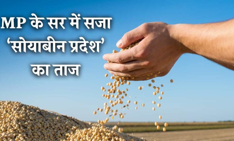 Top 3 Soybean Producing States in India 2024: मध्य प्रदेश के सर में सजा ‘सोयाबीन प्रदेश’ का ताज, 2 साल बाद हासिल किया प्रथम स्थान