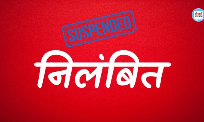 कार्य में लापरवाही पड़ी भारी कलेक्टर ने 8 पटवारी को कर दिया सस्पेंड, आदेश जारी होते ही मचाहट हड़कंप