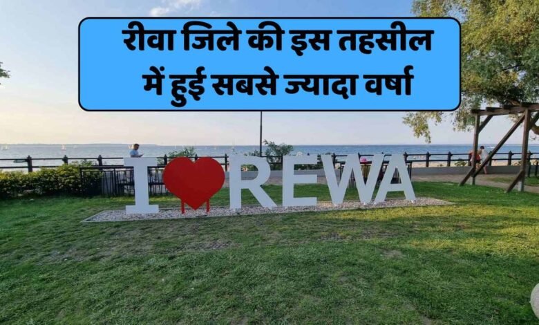 Rewa News: रीवा जिले की इस तहसील में हुई सबसे ज्यादा वर्षा, मौसम विभाग ने जारी किया आंकड़ा