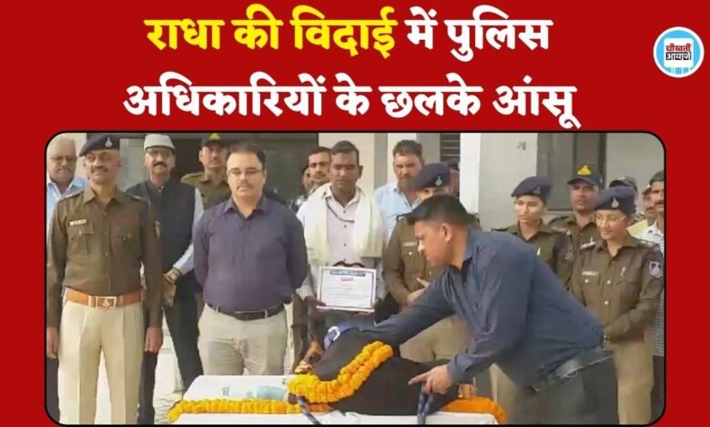 Rewa News: पुलिस विभाग से रिटायर्ड हुई स्निफर डॉग राधा, विदाई समारोह में छलक उठे पुलिस अधिकारियों के आंसू