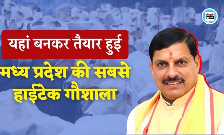 MP News: मध्य प्रदेश में यहां बनने जा रही हाईटेक गौशाला, 10 हजार से अधिक निराश्रित गोवंशों को मिलेगा आश्रय