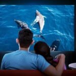 Xiaomi Smart Projector L1: अब घर बैठे मिलेगा थिएटर में मूवी देखने का मजा, Xiaomi ने लांच किया स्मार्ट प्रोजेक्टर