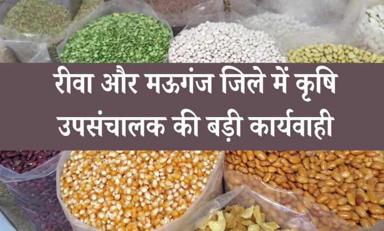 Rewa News: रीवा और मऊगंज जिले में कृषि उपसंचालक की बड़ी कार्यवाही, पांच दुकानदारों का लाइसेंस निरस्त