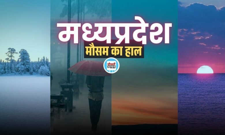 MP Weather News