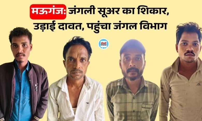 Mauganj News: मऊगंज जिले में जंगली सूअर का शिकार, चल रही थी दावत तभी पहुंच जंगल विभाग