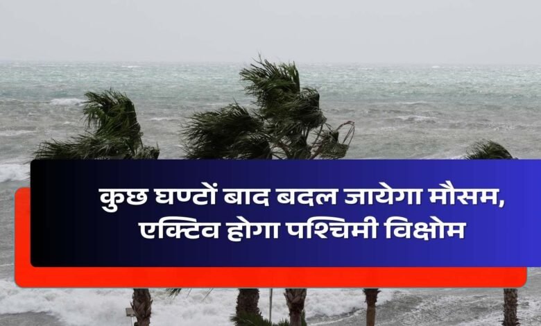 Western Disturbance In Madhya Pradesh