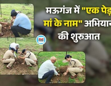 Mauganj News: मऊगंज में "एक पेड़ मां के नाम" अभियान की शुरुआत, कलेक्टर-एसपी सहित अधिकारियों ने किया वृक्षारोपण