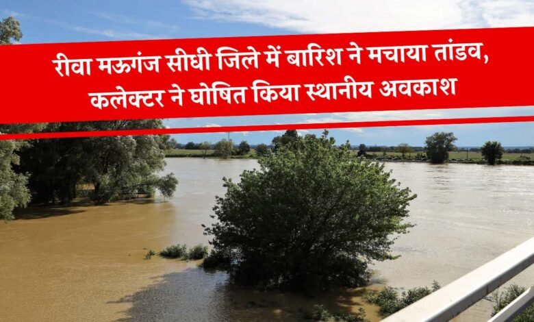 Mauganj News: रीवा मऊगंज सीधी जिले में बारिश ने मचाया तांडव, कलेक्टर ने घोषित किया स्थानीय अवकाश