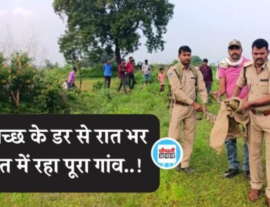 Mauganj News: मगरमच्छ के डर से रात भर दहशत में रहा पूरा गांव, सुबह हुआ रेस्क्यू ऑपरेशन