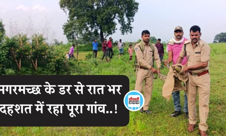 Mauganj News: मगरमच्छ के डर से रात भर दहशत में रहा पूरा गांव, सुबह हुआ रेस्क्यू ऑपरेशन