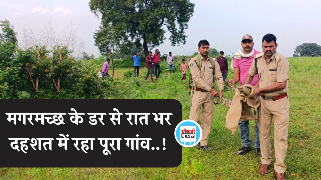 Mauganj News: मगरमच्छ के डर से रात भर दहशत में रहा पूरा गांव, सुबह हुआ रेस्क्यू ऑपरेशन Mauganj News: मगरमच्छ के डर से रात भर दहशत में रहा पूरा गांव, सुबह हुआ रेस्क्यू ऑपरेशन