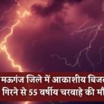 Mauganj News: मऊगंज जिले में आकाशीय बिजली गिरने से 55 वर्षीय चरवाहे की मौत