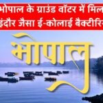 Mp News: भोपाल के ग्राउंड वॉटर में मिला इंदौर जैसा ई-कोलाई बैक्टीरिया, लोगों में दहशत का माहौल
