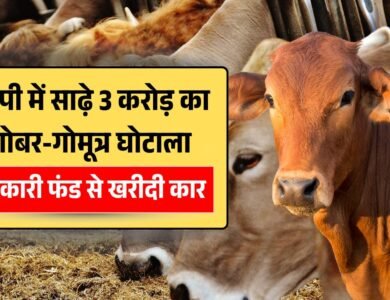 MP Gobar Gomutra Ghotala